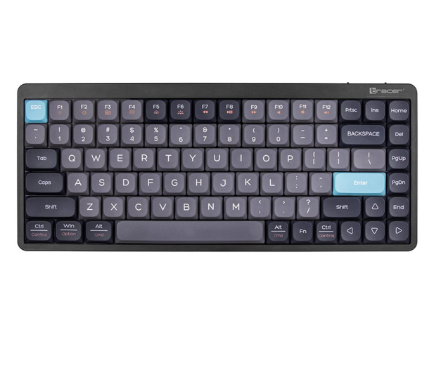 Tracer FINA 84 Blackcurrant - 1235811 - zdjęcie